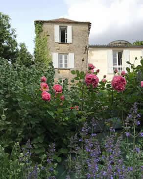 Private Full-Day Wine Tasting Tour
